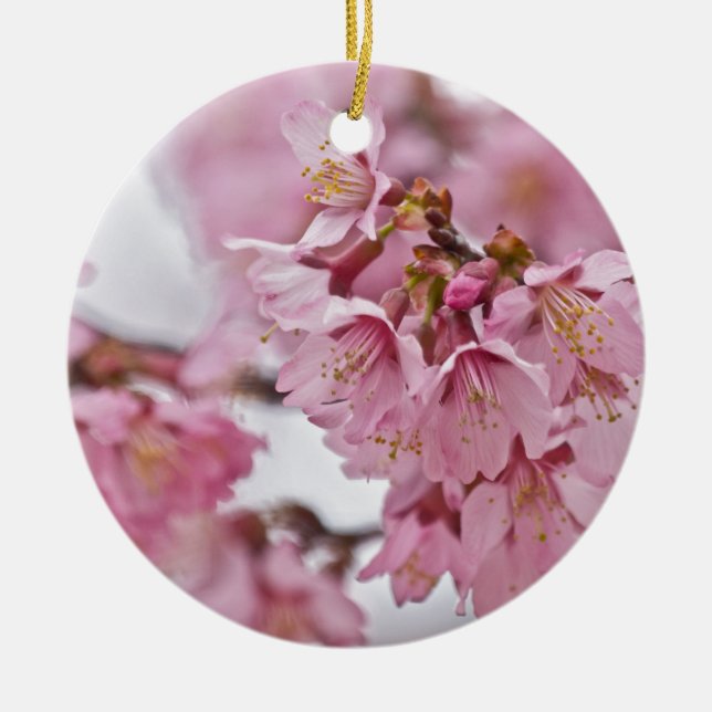 Ornement En Céramique Sakura Cherry Blossoms rose pâle (Devant)