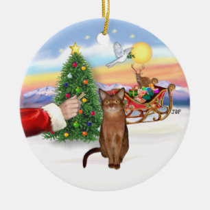 Ornement En Céramique Santas Treat - Ruddy Abyssinian cat