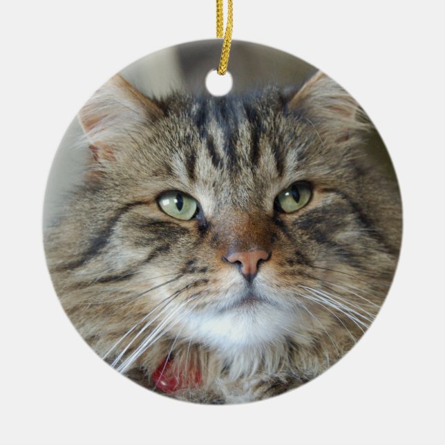 Ornement En Céramique Saule le chat (Devant)