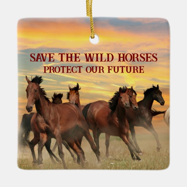 Ornement En Céramique Sauvez Les Chevaux Sauvages (Devant)