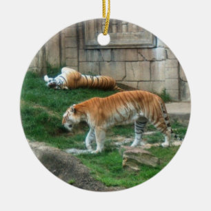 Ornement En Céramique Série d'espèce menacée de ~ d'ornement de tigre de