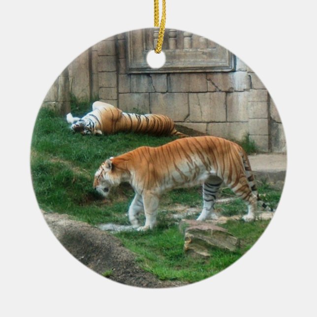 Ornement En Céramique Série d'espèce menacée de ~ d'ornement de tigre de (Devant)