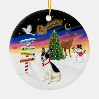 Signes de Noël - Rat Terrier
