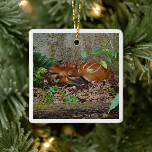 Ornement En Céramique Silencieux Night Mountain Bongo Antelope Calf (Arbre)