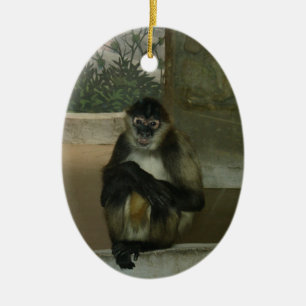 Ornement En Céramique Singe assis joliment