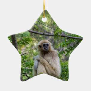 Ornement En Céramique Singe blond de gibbon - lar de Hylobates