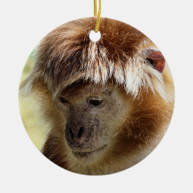 ORNEMENT EN CÉRAMIQUE SINGES (Devant)