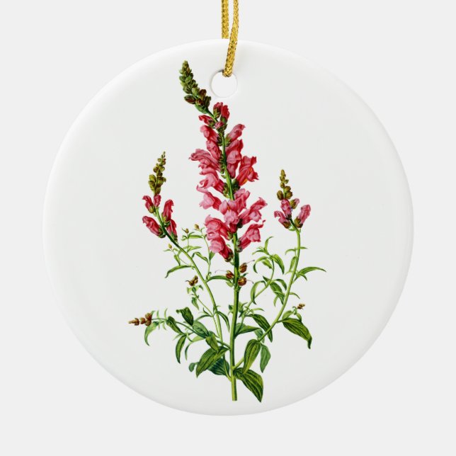 Ornement En Céramique Snapdragon Rose Tiré De La Nature (Devant)