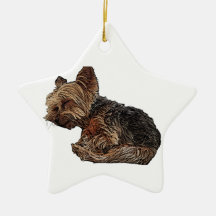 Sommeil Yorkie