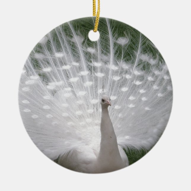 Ornement En Céramique Superbe blanc Peacock ( Paon) plein plume (Devant)