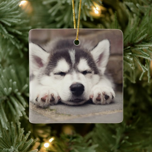 Ornement En Céramique Sweet Sibérie Husky Puppy Sleeping (Arbre)