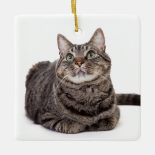Ornement En Céramique Tabby Gris