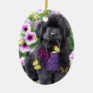 Ornement En Céramique Terre-Neuve par jour ensoleillé