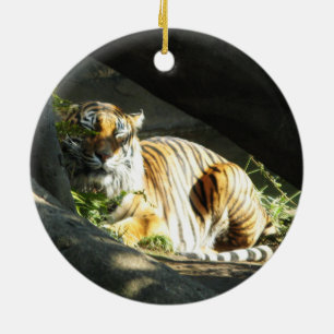 Ornement En Céramique Tiger Catnap