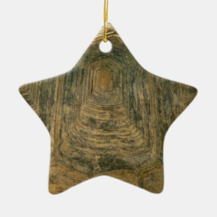 Ornement En Céramique Tortoise Shell Nature Photo