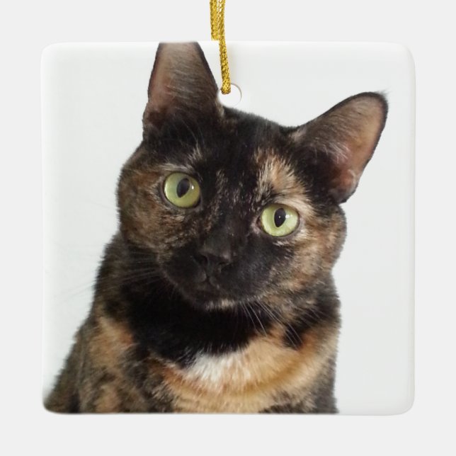 Ornement En Céramique Tortoiseshell (Devant)