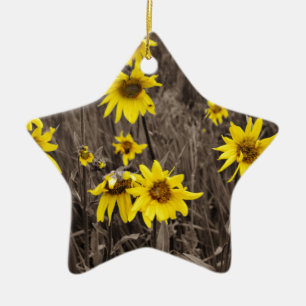 Ornement En Céramique Tournesol dans la Montagne Rocheuse