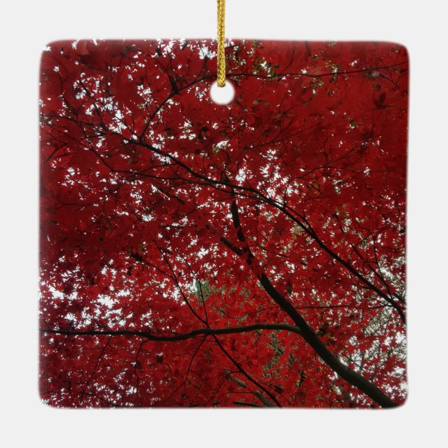 Ornement En Céramique Tree Fall Season Red Brown Autumn Leaves (Dos)