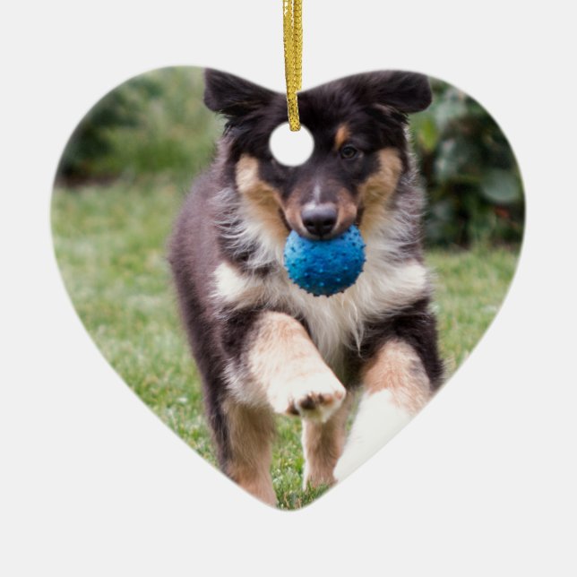 Ornement En Céramique Tri chiot australien coloré de berger (Devant)