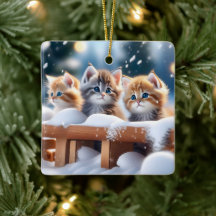 Trois chats Tabby jouant dans la neige
