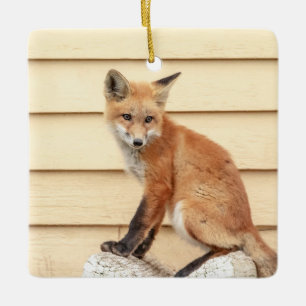 Ornement En Céramique Trousse Red Fox dans la vallée de l'Hudson