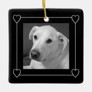 Ornement En Céramique Un cadre de coeur photo Chien noir et blanc
