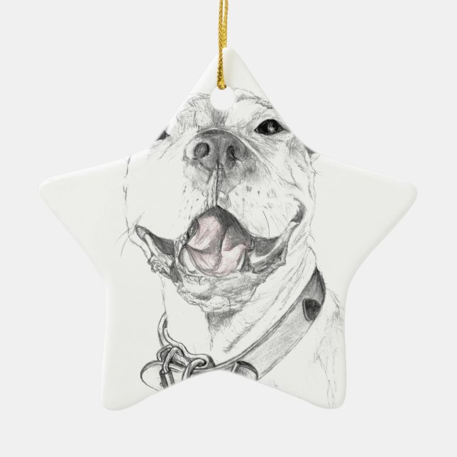 Ornement En Céramique Un Smile À Pit Bull (Devant)