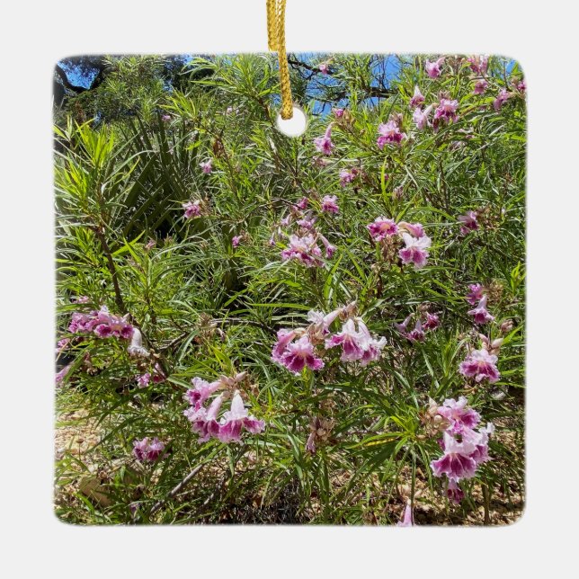 Ornement En Céramique Une Californie en fleurs : Willow du désert (Devant)