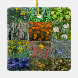 Ornement En Céramique Une floraison en Californie : Célébration de la co