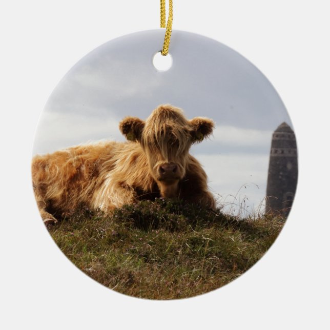 Ornement En Céramique Vache à Luing sur l'île d'Islay, Ecosse (Devant)
