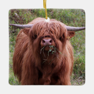 Ornement En Céramique Vache écossaise des Highlands