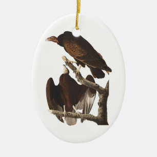Ornement En Céramique Vautour de Turquie d'Audubon