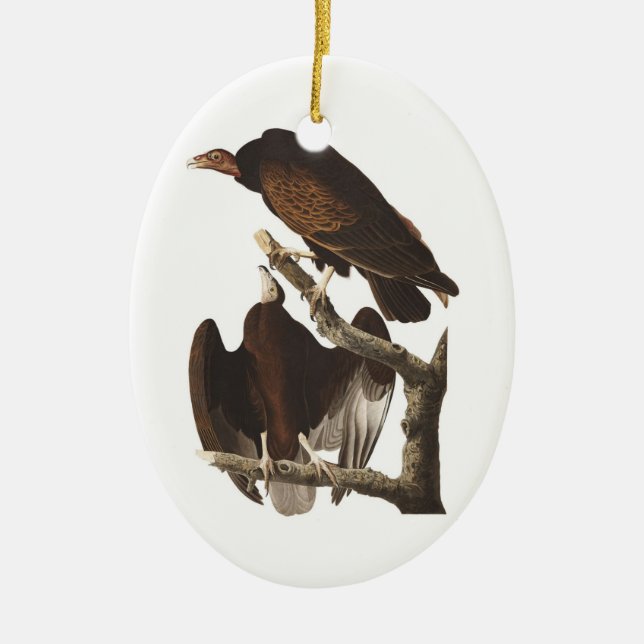 Ornement En Céramique Vautour de Turquie d'Audubon (Devant)