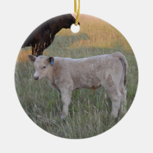 Ornement En Céramique Veau du charolais