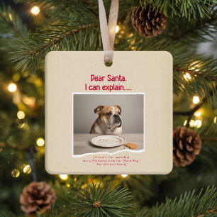 Ornement En Céramique Vinage Chien Drôle Photo de Noël Vacances