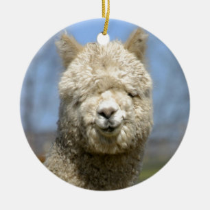 Ornement En Céramique Visage blanc brouillé d'alpaga