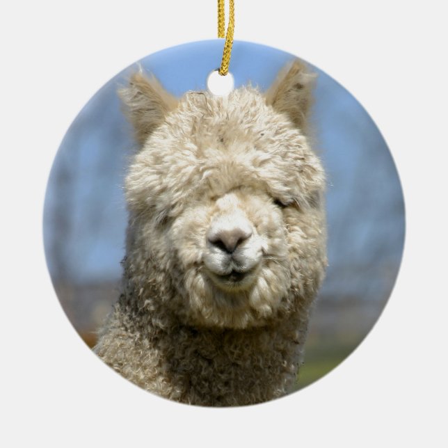 Ornement En Céramique Visage blanc brouillé d'alpaga (Devant)