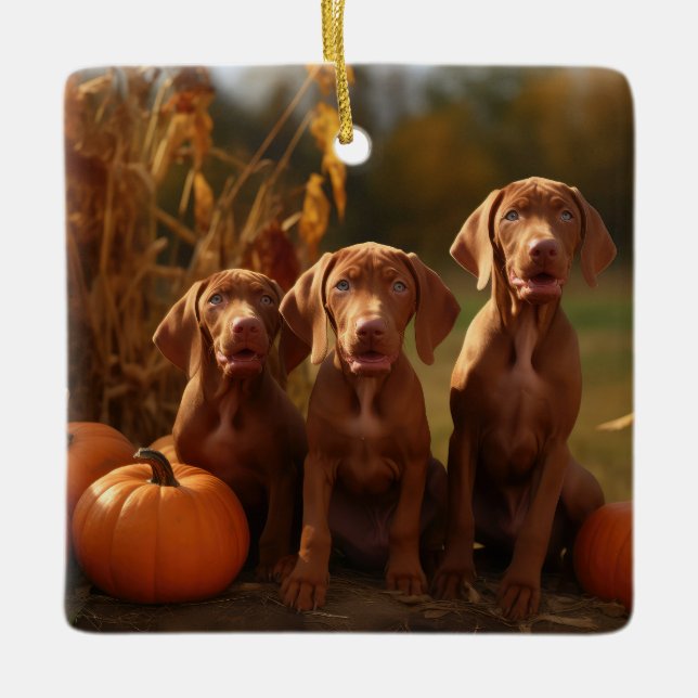 Ornement En Céramique Vizsla Chiot Automne Citrouille délice (Devant)