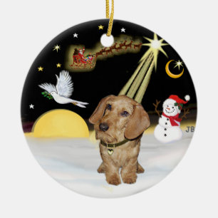 Ornement En Céramique Vol de nuit - Fil Haired Dachshund