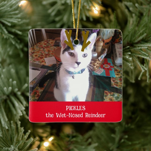 Ornement En Céramique Votre animal domestique Reindeer Noisé Humide Phot (Arbre)