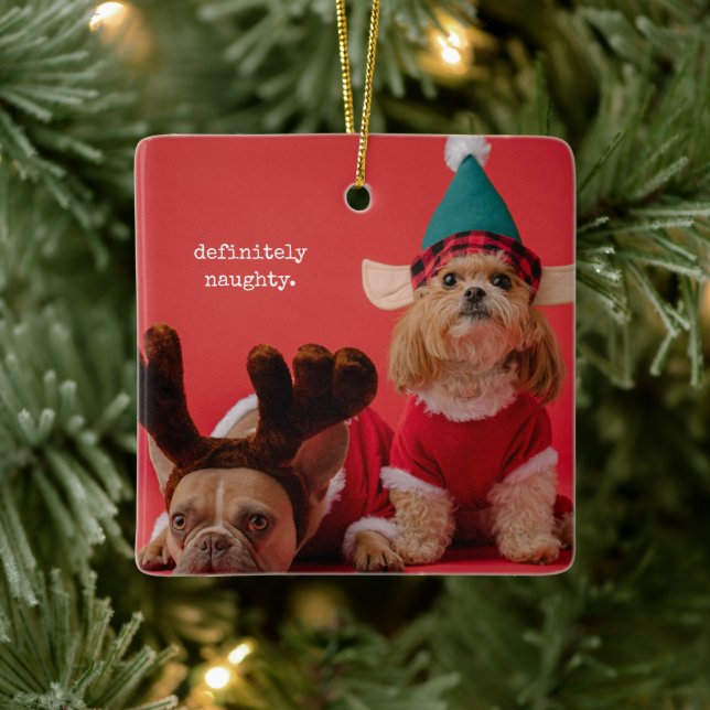Ornement En Céramique Vraiment Naughty Pet Photo Mignonne Noël (Arbre)