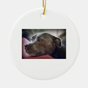 Ornement En Céramique Yeux aimants de Pitbull