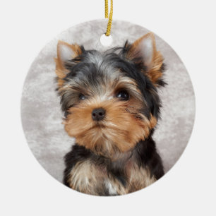 Ornement En Céramique Yorkie merveilleux