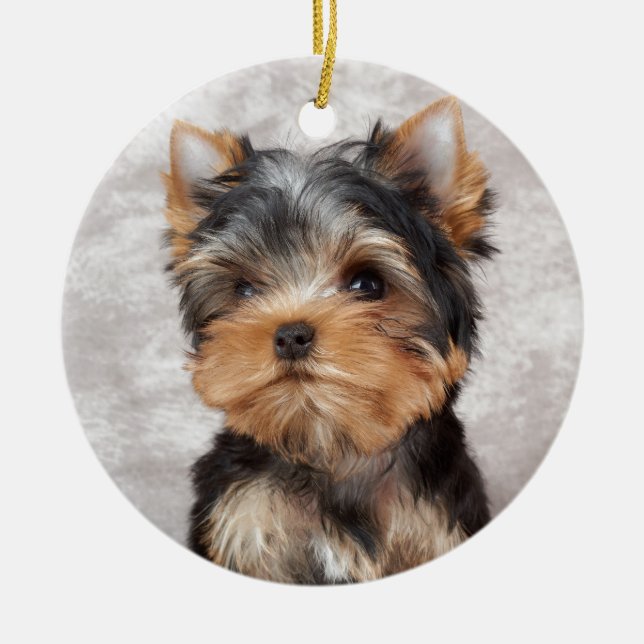 Ornement En Céramique Yorkie merveilleux (Devant)