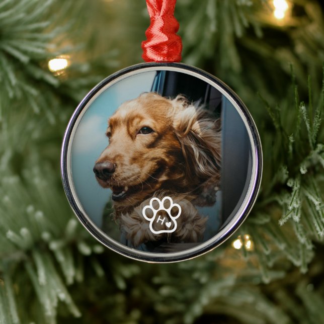 Ornement En Métal Add Your Own Photo Dog Pets Monogram (Arbre)