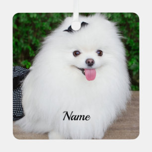 Ornement En Métal Adorable Fluffy White Chien Chien Chien