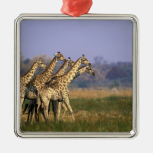Ornement En Métal Afrique, Botswana, Réserve de jeu de Moremi