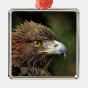 Ornement En Métal aigle royal