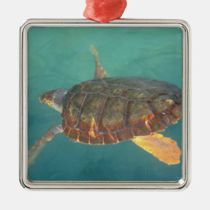 Ornement En Métal Amérique centrale, Panama, Bocas Del Torro