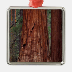 Ornement En Métal Amérique du Nord, États-Unis, Californie, Parc nat